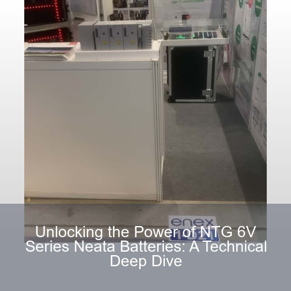 Unlocking the Power of NTG 6V Series Neata Batteries: A Technical Deep Dive